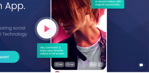 Whitepaper & Lightpaper for a Social Media App project