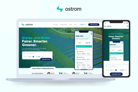 Ostrom Website Redesign project