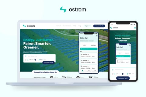 Ostrom Website Redesign project