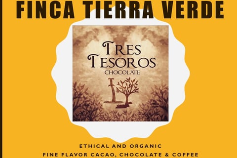 Cacao Plantation and Chocolate Commercialization project