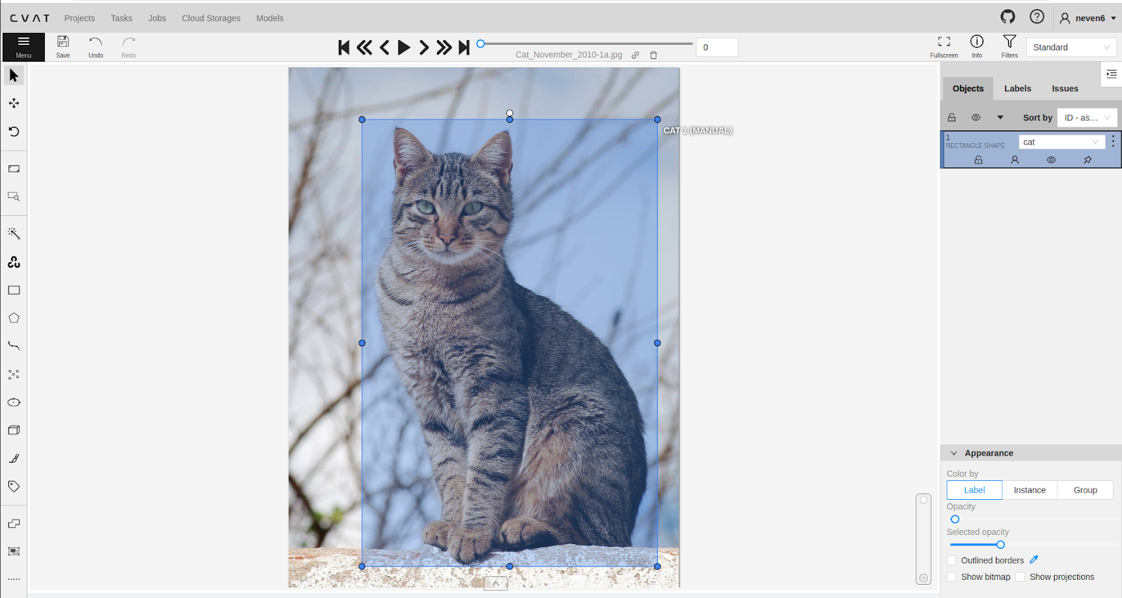 CVAT being used for manual annotation of an image of a cat.