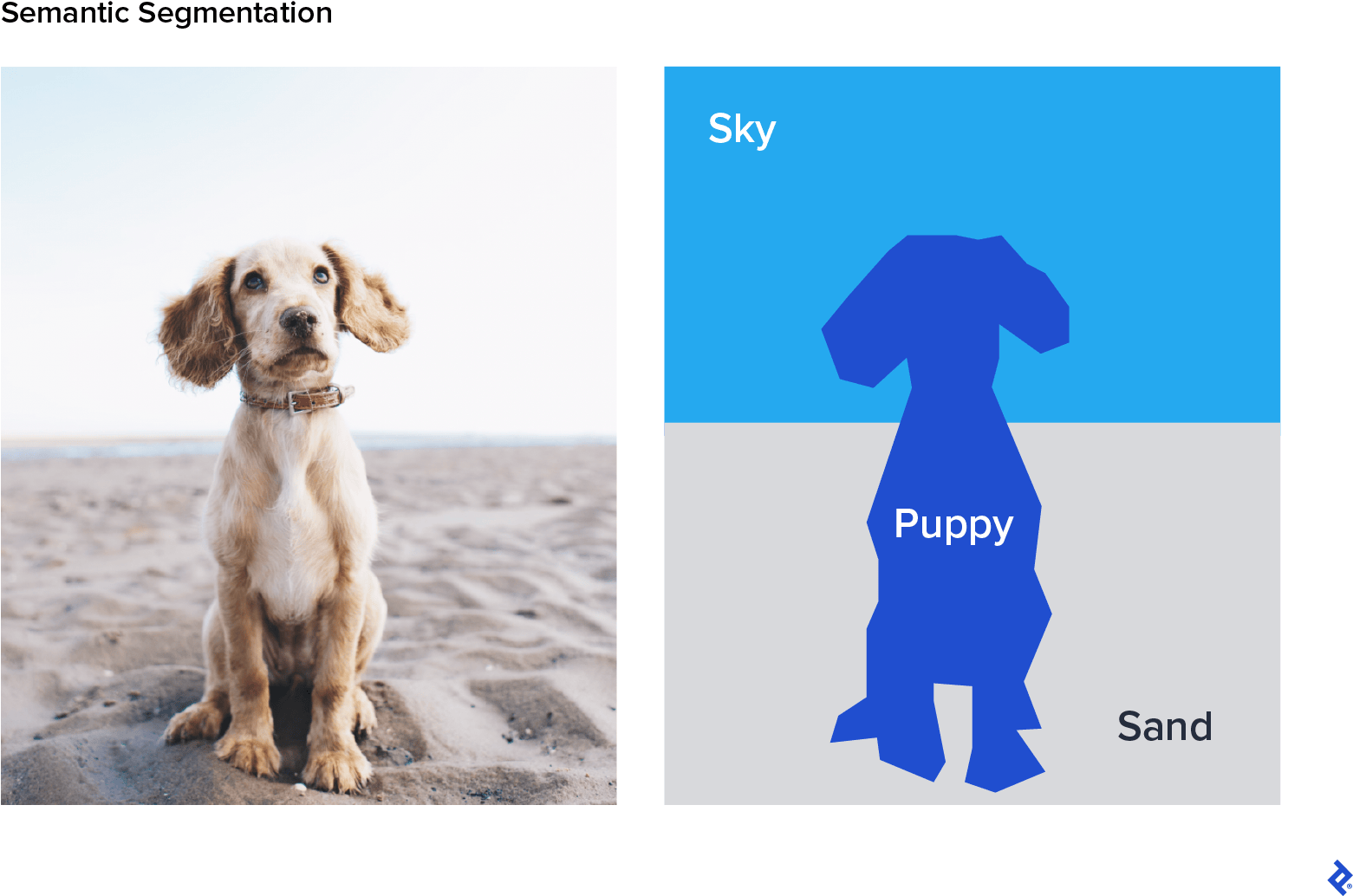 A photo of a puppy sitting in the sand is shown next to the same image semantically segmented.