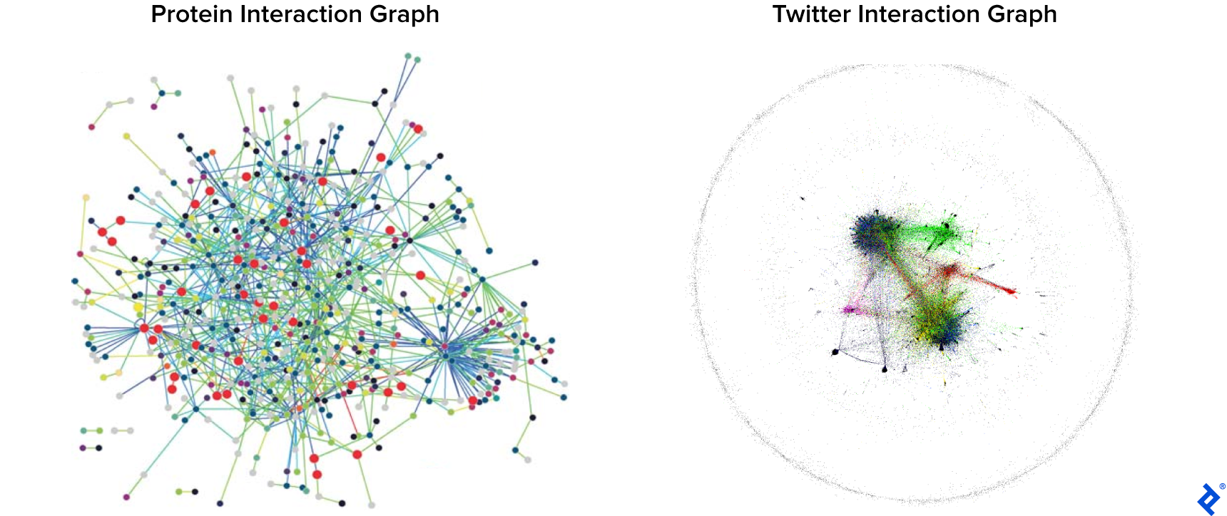 On the left, a protein interaction graph with many dots of varied sizes and colors, and lines of different colors between them. Most dots (nodes) form a large central cluster, but some dots are connected only in pairs, triplets, or quadruplets on the fringes, disconnected from the main cluster. On the right, a Twitter interaction graph where nodes are of subpixel size and fall broadly into three sets: A dense central cluster with a few fuzzy blobs of various colors and sizes connected by fuzzy streams of various colors; a light cloud consisting of small smudges and sprinklings of mostly gray; and a buffer of white before an outer gray fuzzy ring surrounding the first two sets.