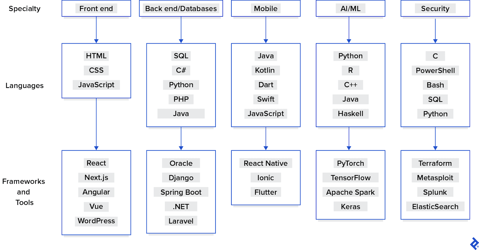 Infographic illustrating how development specialties like front end, mobile, and security funnel down to proficiencies with programming languages, frameworks, and tools.