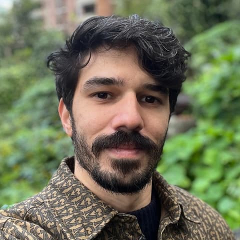 Leonardo Schettini, Developer in Vienna, Austria