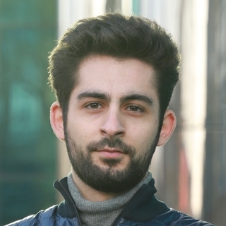 Davit Asryan, Freelance WPF Developer for Hire.
