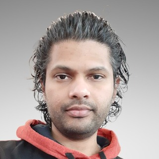 Vamsi Darbhamulla, game testing Freelancer.