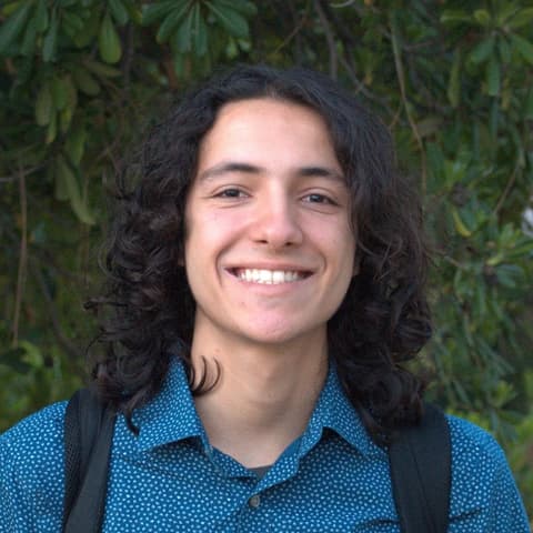 Enrico Z. Borba, Developer in New York, NY, United States