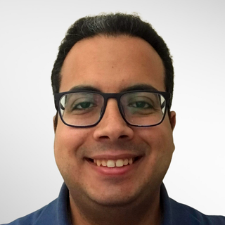 Fadi Makram, Senior Spring Programmer and Consultant.