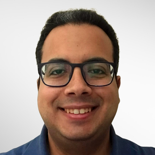 Fadi Makram, Senior Spring Programmer and Consultant.
