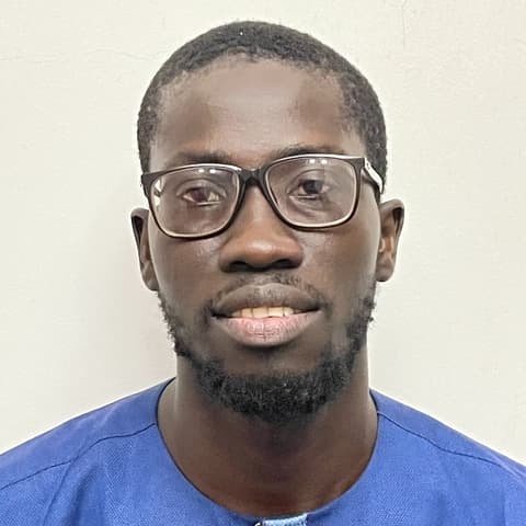 Thierno Ibrahima Diop, Developer in Dakar, Dakar Region, Senegal