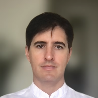 David Cervigni, Senior security engineering Programmer and Consultant.