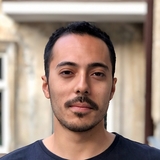 Luca Nioi, Senior payment processing Programmer and Consultant.