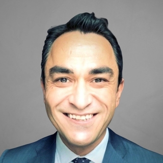 Tevfik Eren, post-merger Integration Freelancer.