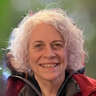 Donna Penick, virtual product manager Product Management Consultant.