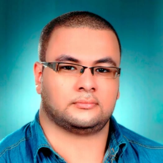 Ahmed Ghanem, Developer in Alexandria, Alexandria Governorate, Egypt
