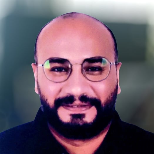 Muhammad Mahmoud Sayed El-Sayeh, Developer in Sheikh Zayed City, Egypt