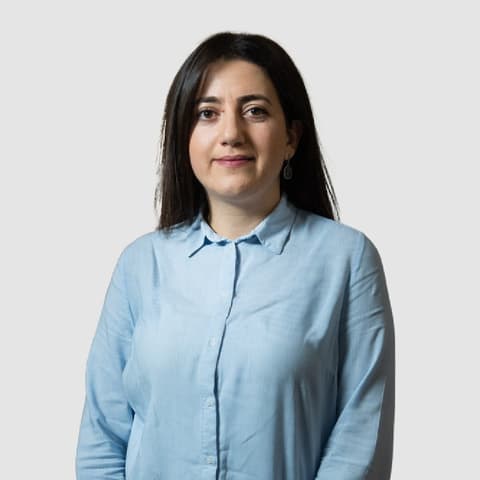 Shushanik Soghomonyan, Developer in Yerevan, Armenia