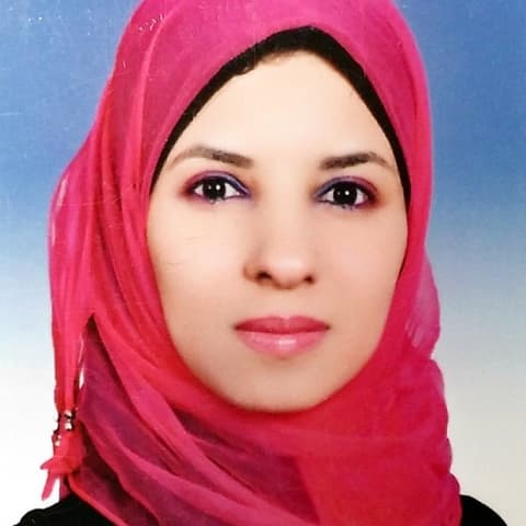 Huda Rasmey, Developer in Cairo, Cairo Governorate, Egypt