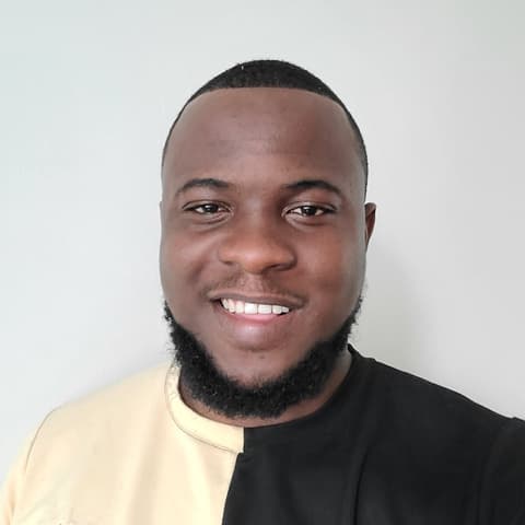 Tochukwu Nwoko, Developer in Rotterdam, Netherlands