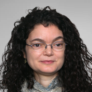 A. Rosa Castillo, PhD, data analysis Engineer.