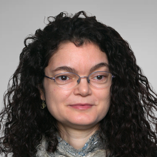 A. Rosa Castillo, PhD, algorithm Engineer.
