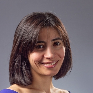 Liana Bertsch, Top CFO consulting Consultant.