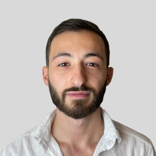 Levan Javakhishvili, Developer in Tbilisi, Georgia