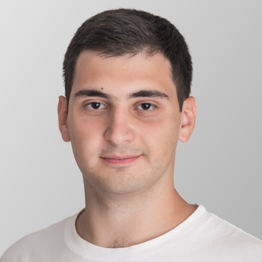 Davit Mkhitaryan, Developer in Yerevan, Armenia