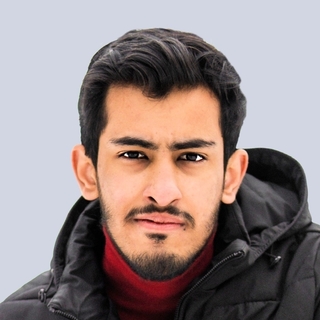 Haider Ali, Expert Vapi Programmer for Hire.