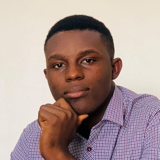 Edwards Moses, Developer in Lagos, Nigeria