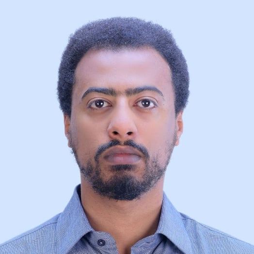 Fikir Yibeltal, Developer in Abu Dhabi, United Arab Emirates