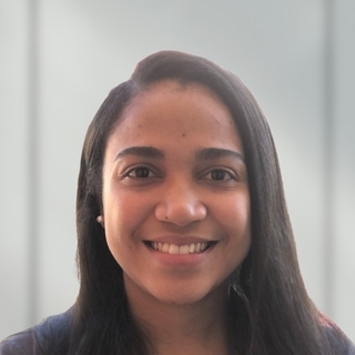 Nicaury Francisco Ramirez, Expert Certified Ethical Hacker (CEH) Programmer for Hire.