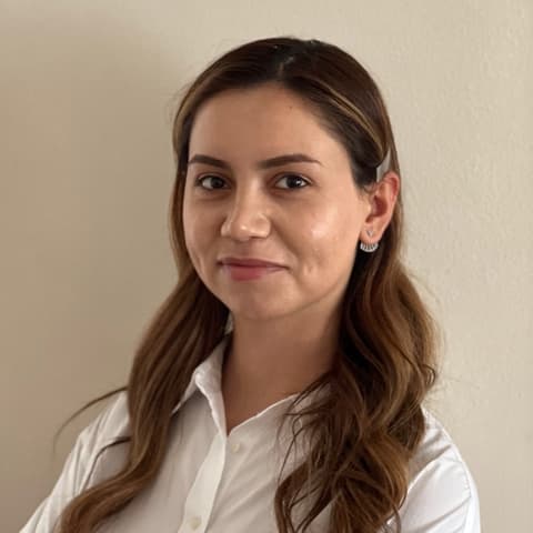 Arsine Sarikyan, PhD, Developer in Yerevan, Armenia