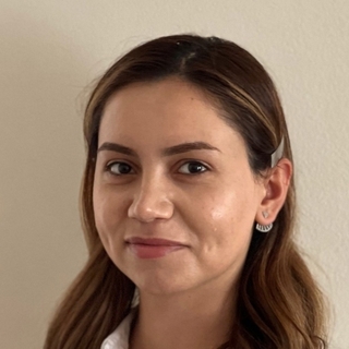 Arsine Sarikyan, PhD, Accomplished product Freelancer.