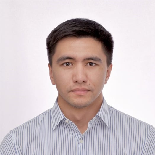 Aibek Atanbekov, Developer in Minneapolis, MN, United States