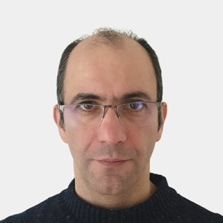 Ali Bina, Accomplished Hugging Face Freelancer.