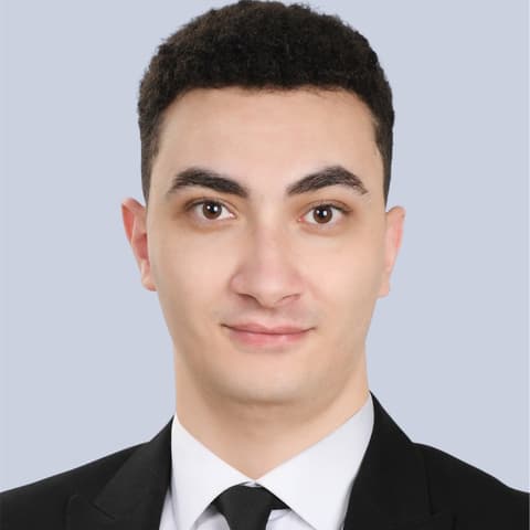 Mohamed Sherif, Developer in Cairo, Cairo Governorate, Egypt