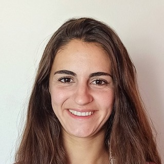 Laura Salud Lopez Llaveria, Data Annotation Strategist.
