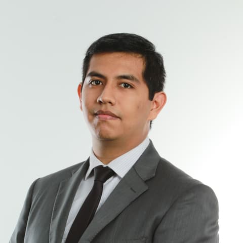 José René White Enciso, Developer in Las Palmas De Medellin, Mexico