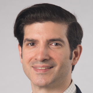 Ludwig Diaz, Independent IPO consulting Specialist.