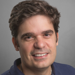 Paulo Castro, Accomplished Telerik Freelancer.
