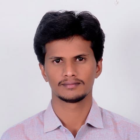 Sreenivasulu Thota, Developer in Jammalamadugu, Andhra Pradesh, India