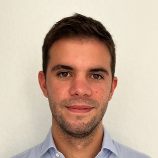 Jose Tomas Lavin Leon, Freelance CatBoost Engineer.