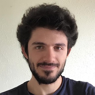 Viktor Cikojevic, Freelance ONNX Developer for Hire.