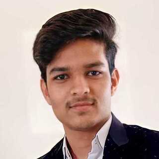 Amulya Varshney, Accomplished Perplexity Freelancer.