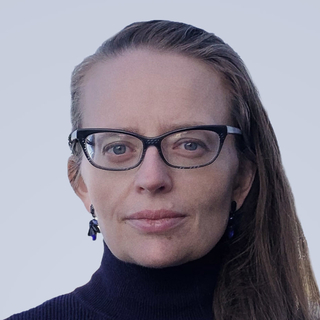 Marianna Petrovich, Freelance SSRS Programmer for Hire.