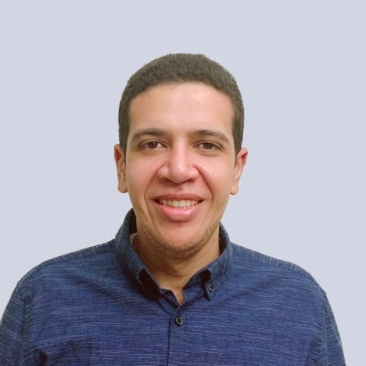 Ahmed Eltowi, Developer in Alexandria, Alexandria Governorate, Egypt