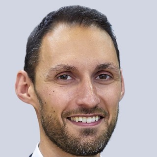Pierre Francois, certified public accounting Consulting Expert.