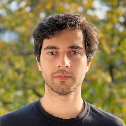 Giorgi Omiadze, Developer in Tbilisi, Georgia